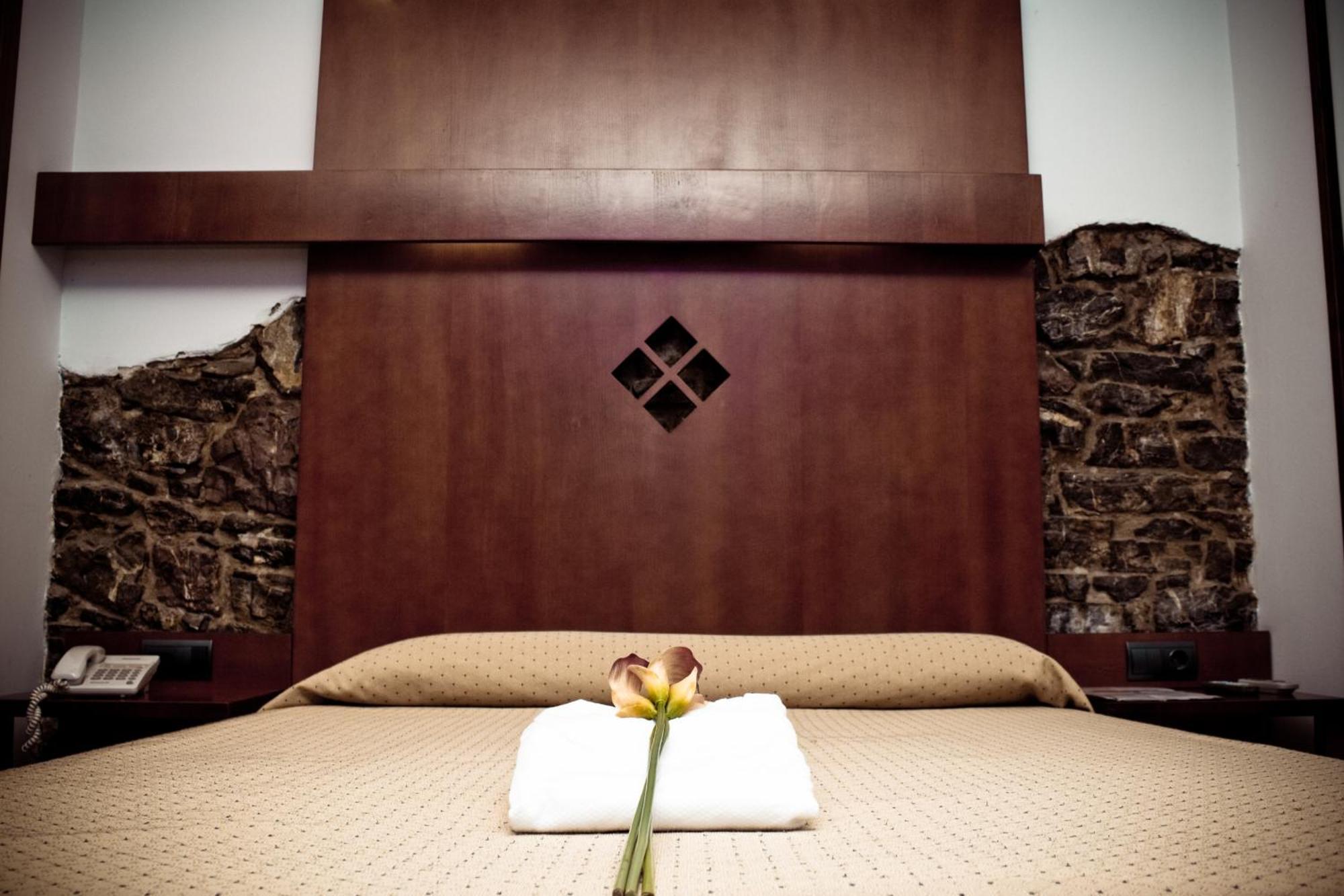 Hotel Torrepalacio Proaza Bilik gambar